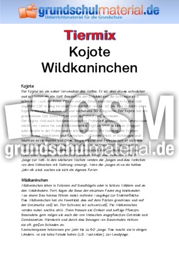 Kojote - Wildkaninchen.pdf
